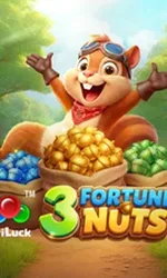 3 Fortune Nuts